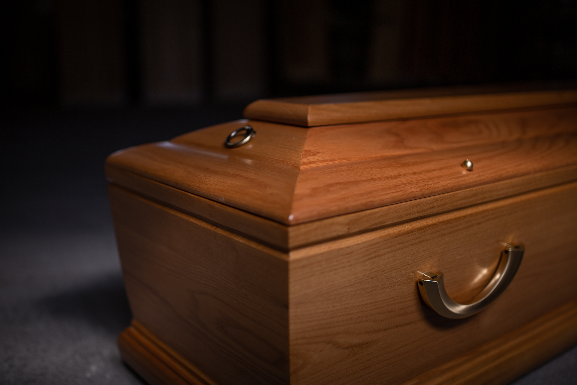 Eiche Körperform – Bild 3