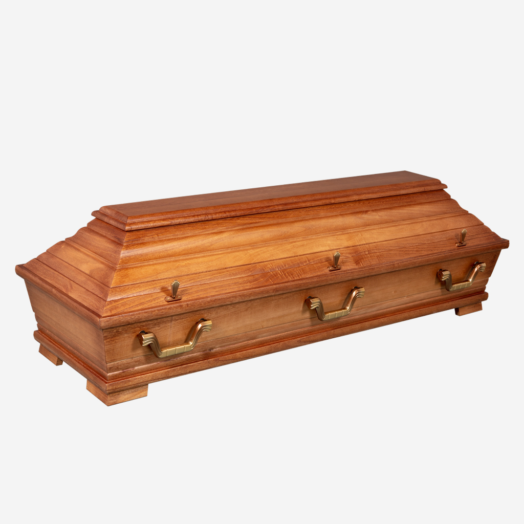 Paulownia Karnieskehlung