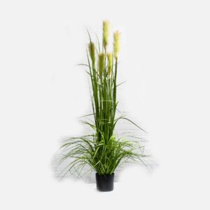 Gräserarrangement (mit Rispe) - 150 cm