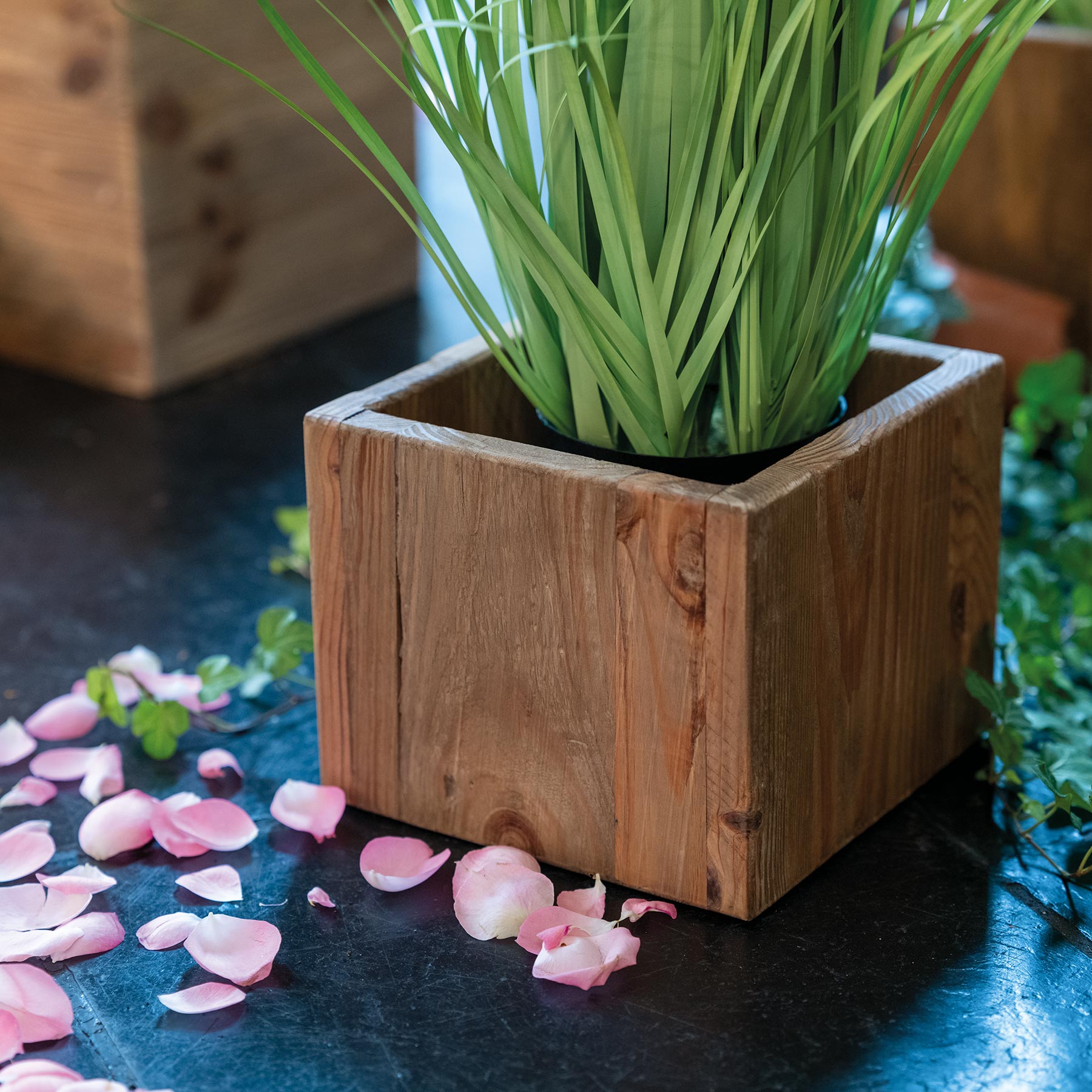 Übertopfe aus Pinienholz