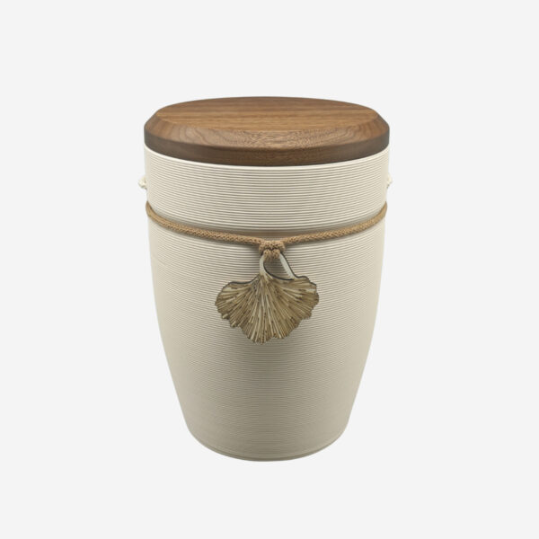 Andenken Ginkgo Creme – Bild 2