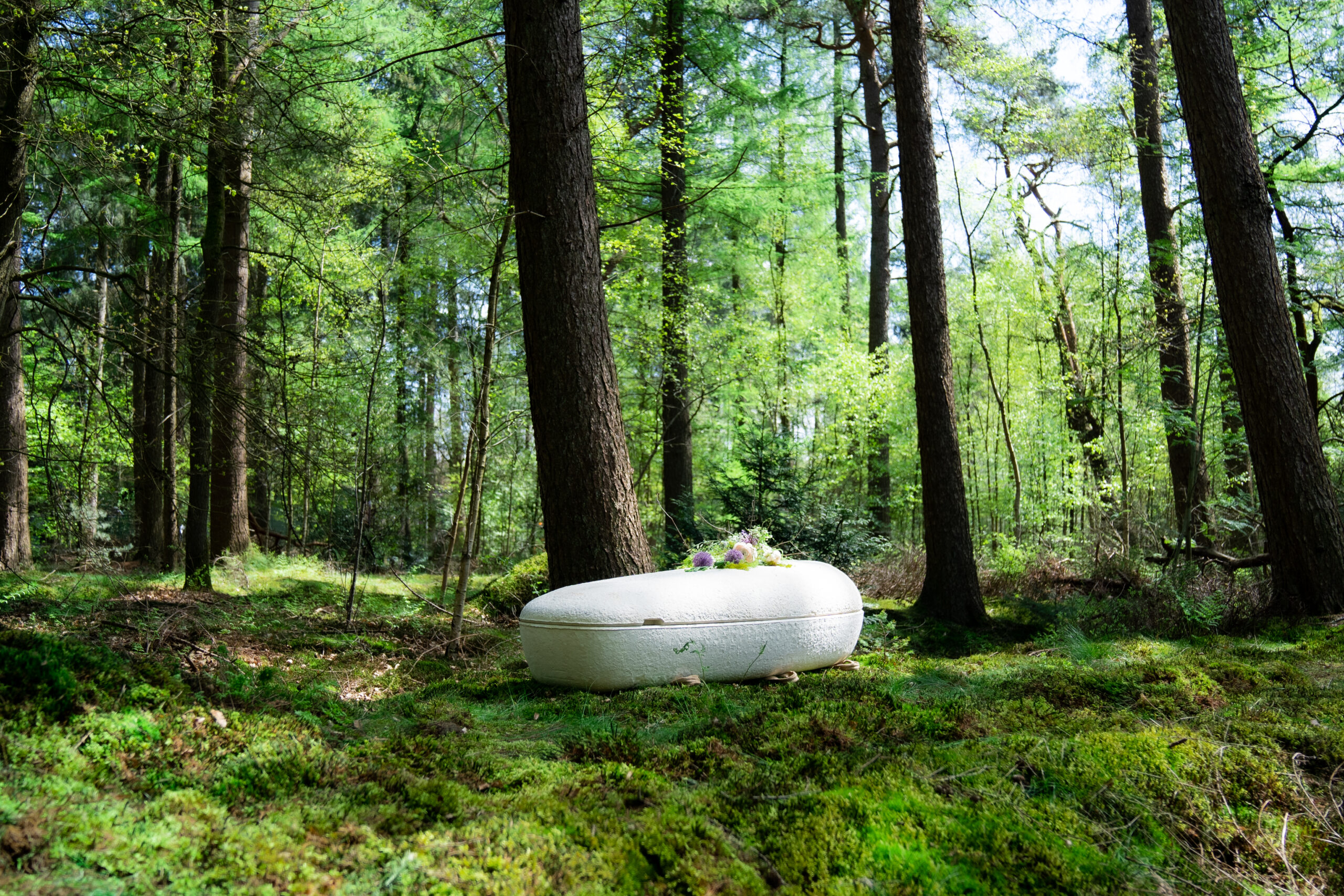 Loop Living Cocoon™