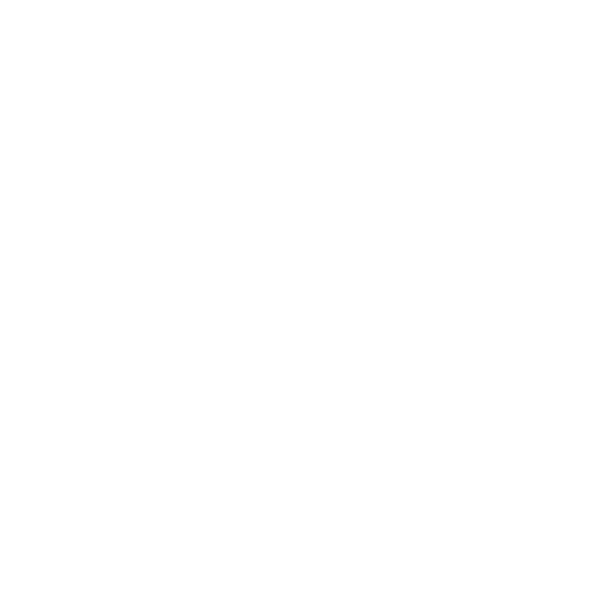 Essentials Logo