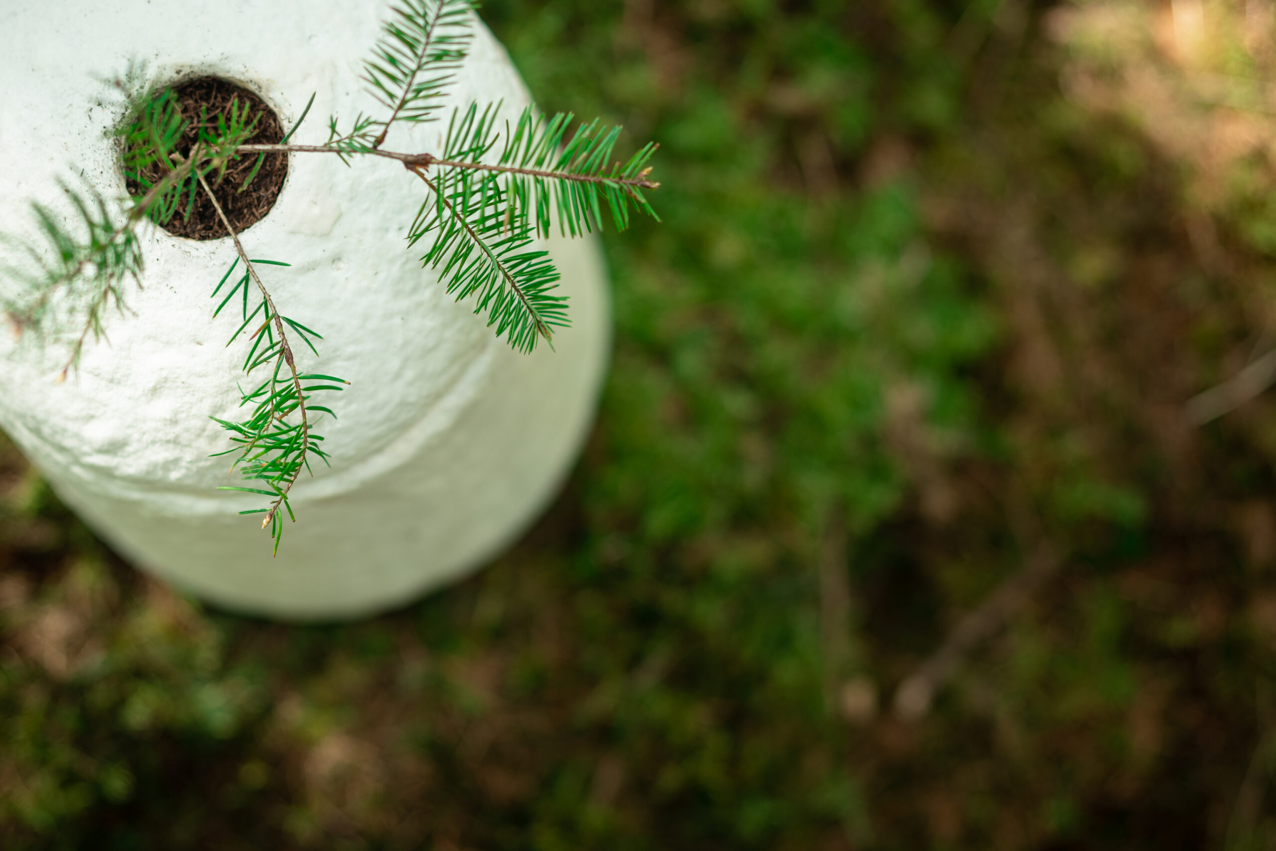 Loop EarthRise™ – Bild 4