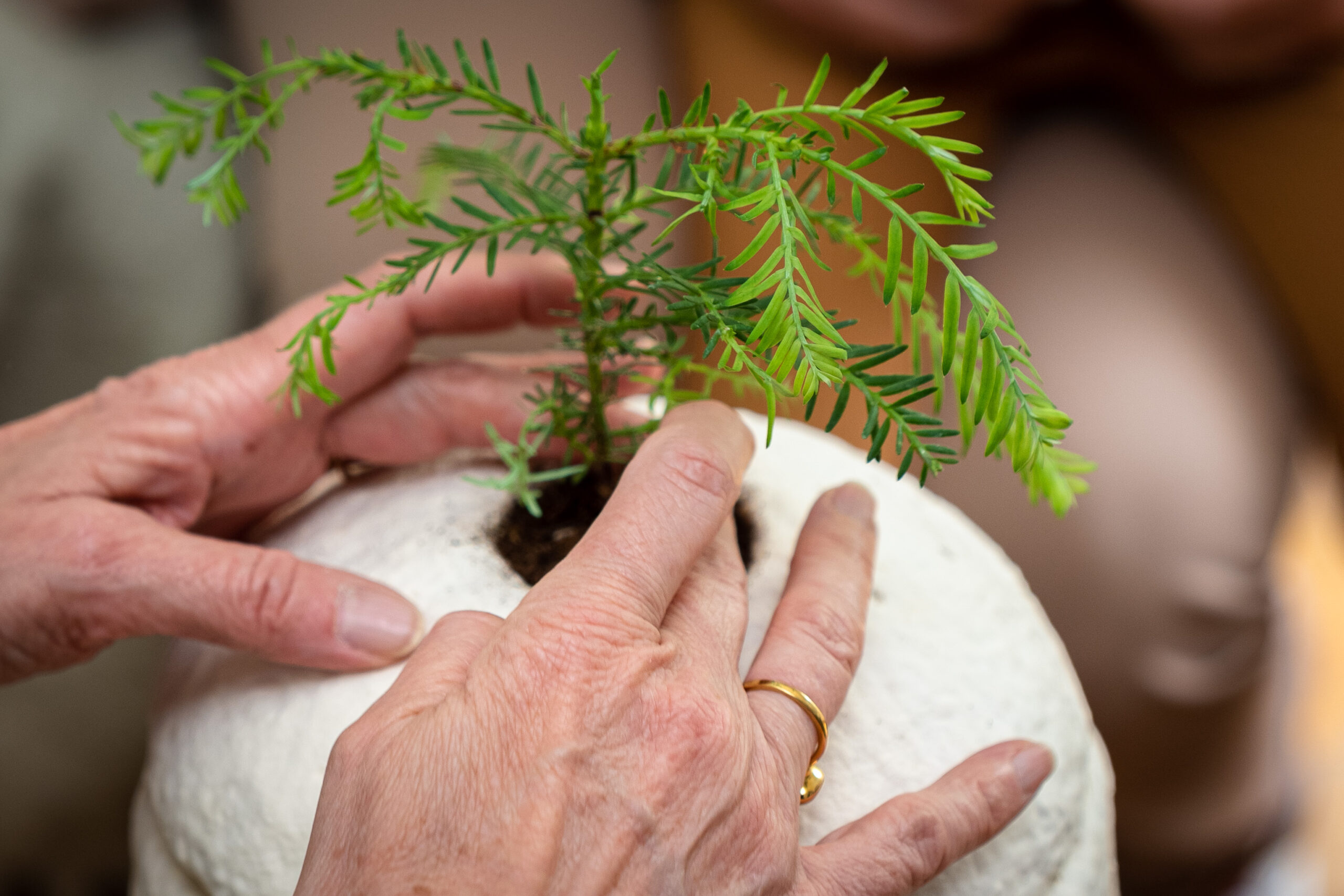 Loop EarthRise™ – Bild 2