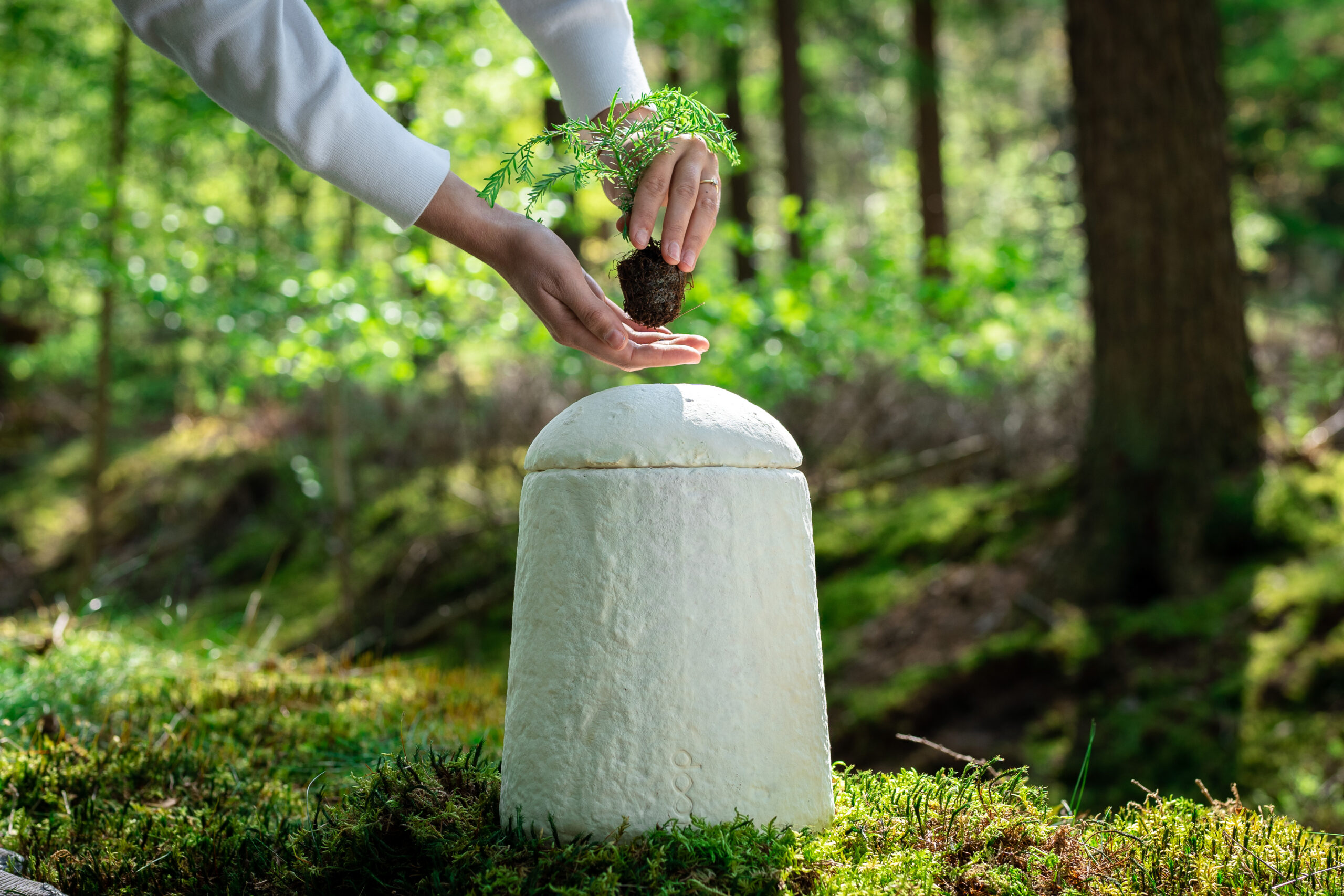 Loop EarthRise™ – Bild 3